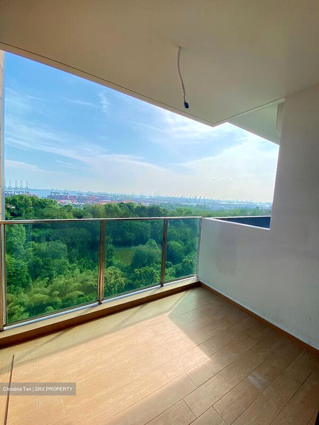 Normanton Park (D5), Apartment #484196381
